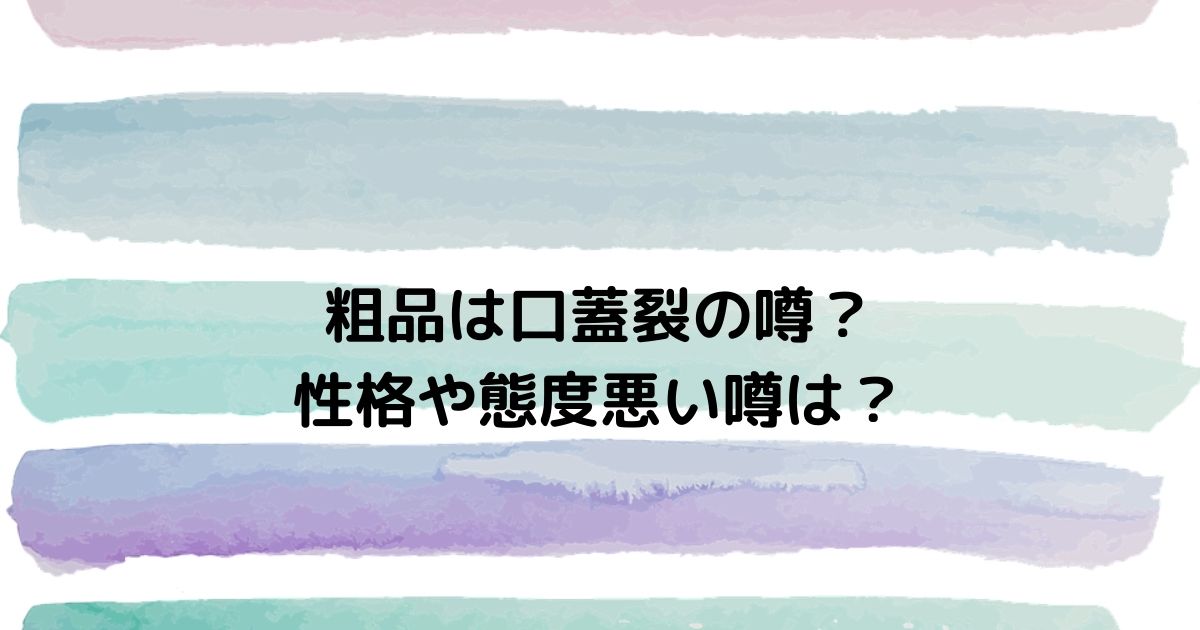 粗品 芸人 は口蓋裂の噂 性格や態度悪い説やコンビ結成理由も ふみのあれこれ最新情報